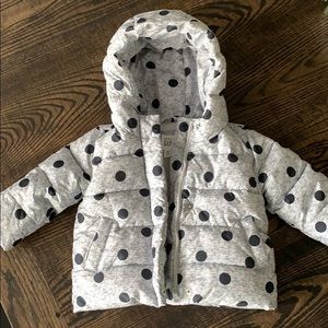 Toddler Gap Jacket
